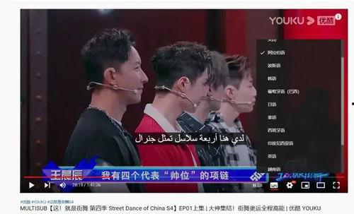 任我鲁国产精品视频  第3张